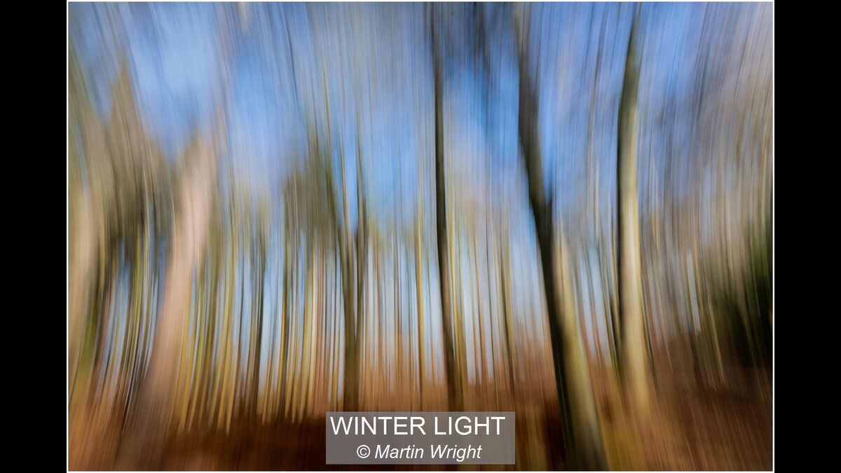 14_WINTER LIGHT_Martin Wright
